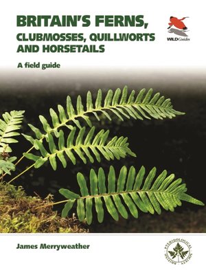 cover image of Ferns
